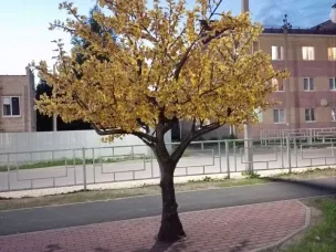 Новое общественное пространство